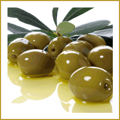 Extra Virgin Olive Oil Quattro Macine Box of 3 500ml